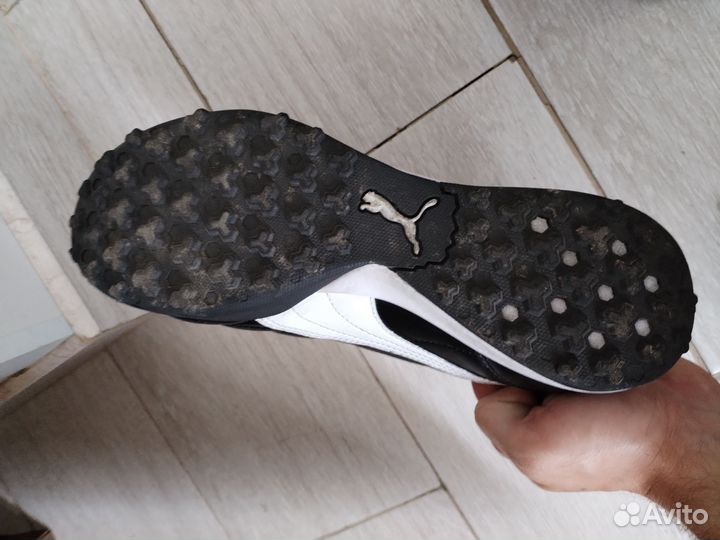 Puma(сороконожки)