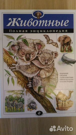 Энциклопедии