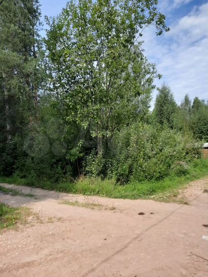 Участок 6 сот. (ИЖС)