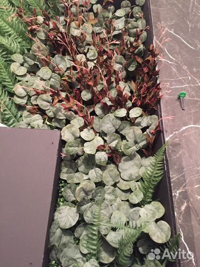 Фитостена из искусственных растений