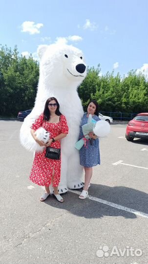 Аниматор мишка