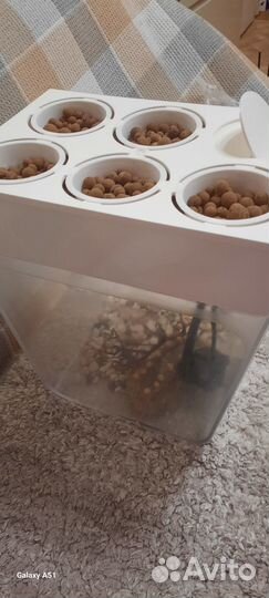 Аквариум / экосистема для рыб