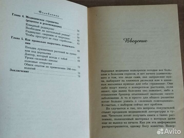 Индийский лук (птицемлечник)