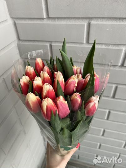 Тюльпаны к 8 марта