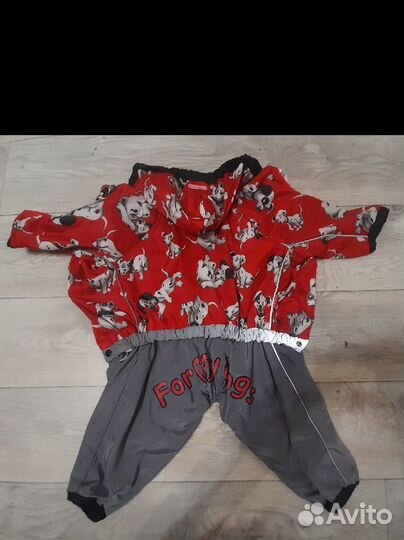 Одежда для маленьких собак