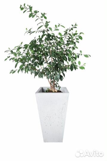 Ваза из бетона в наличии и под заказ