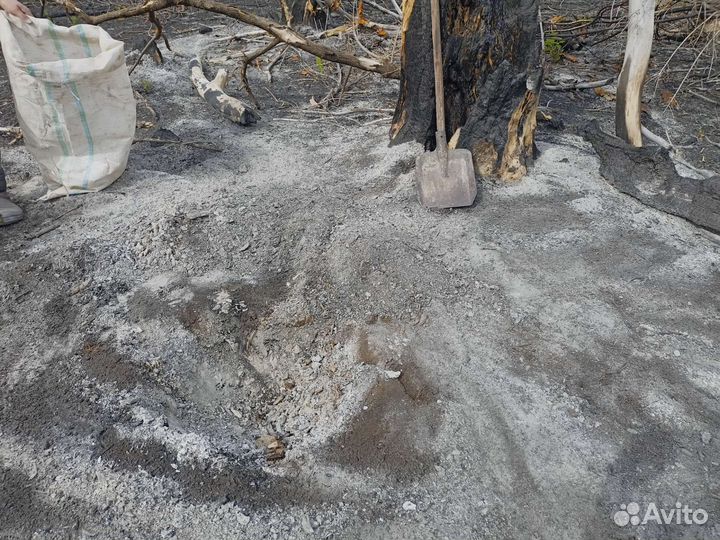 Зола древесная натуральная