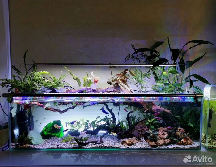 Грунт галька компрессор декор стекло