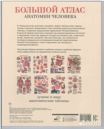 Большой атлас анатомии человека зубы волосы кости