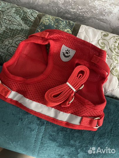 Шлейка для маленькой собаки или кошки