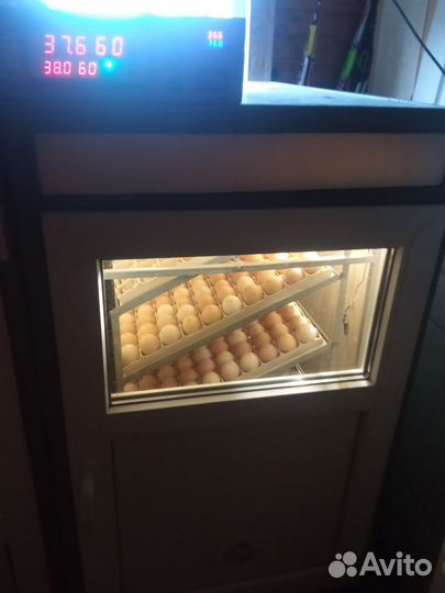 Продам инкубаторы