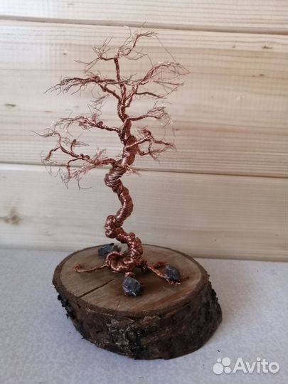 Дерево бонсай