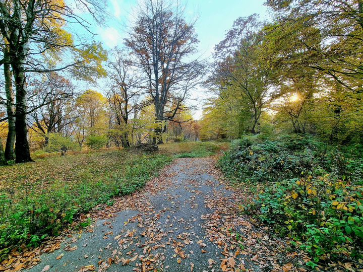 Участок 2,3 га (СНТ, ДНП)