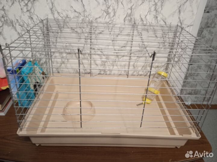 Клетка для морской свинки