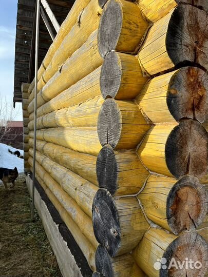 Сруб дома или бани