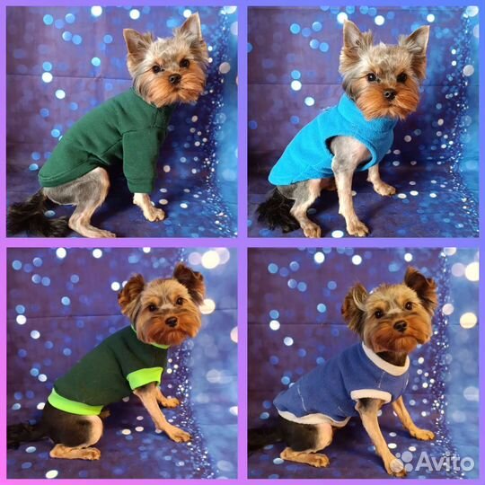 Одежда, обувь для собак,кофточки, футболки, платья