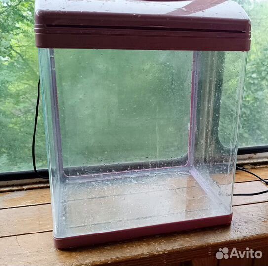 Аквариум забронирован