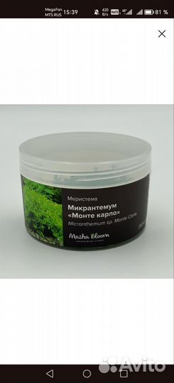 Аквариумные растения