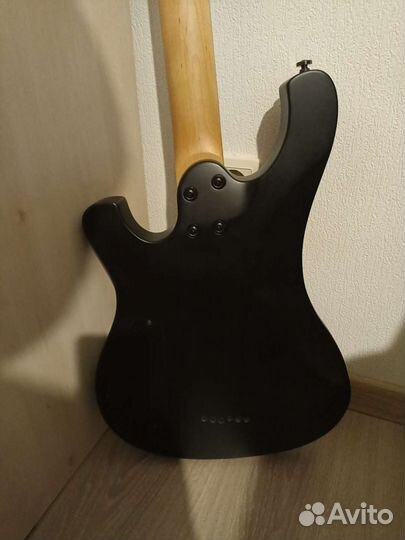Schecter sgr 006