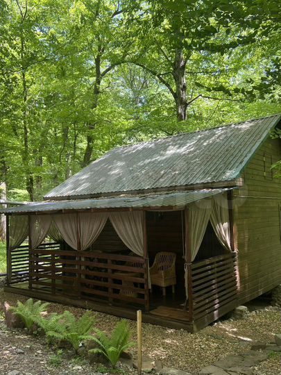 Дом 40 м² на участке 74 сот.