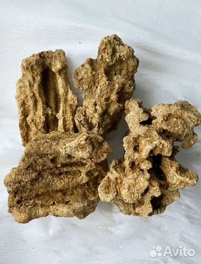Кораллы натуральные