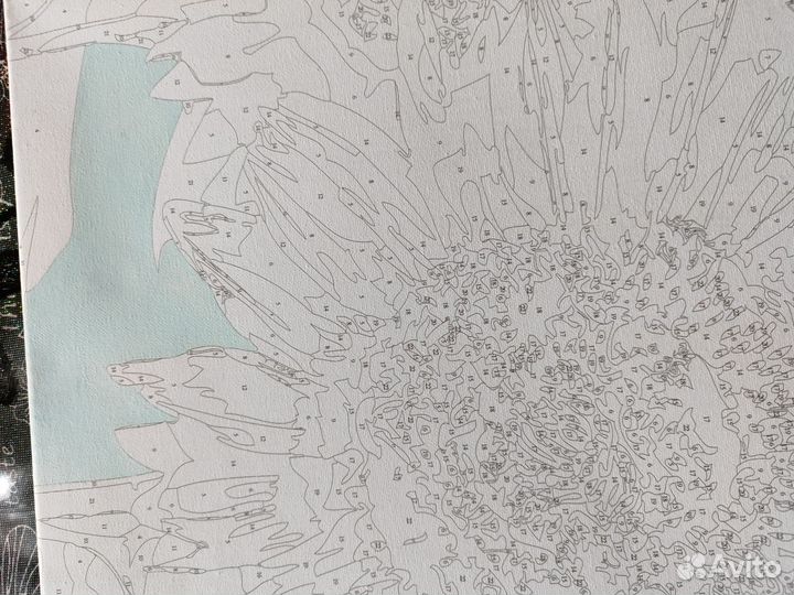 Картины по номерам 4050