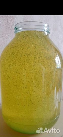 Мёд натуральный из белой акации