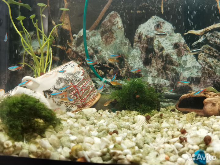 Аквариум 200 литров и все для него
