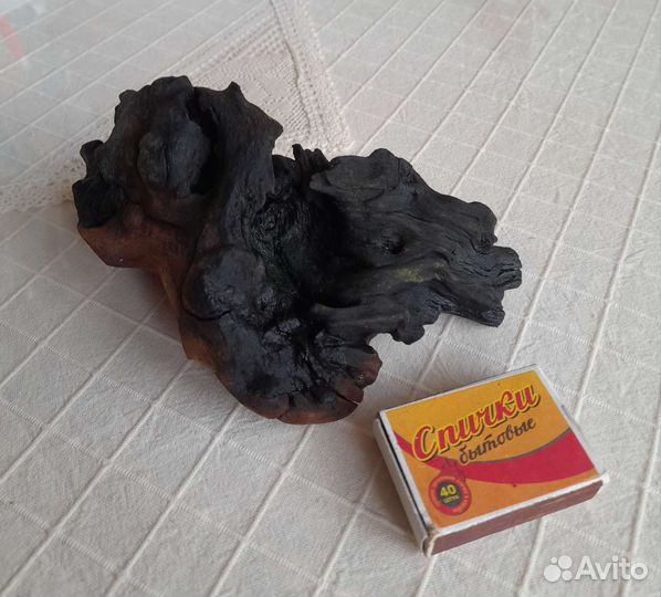 Коряга мангровая в аквариум