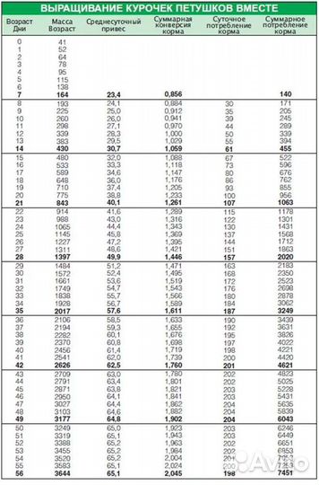 Инкубационное яйцо бройлера кобб 500