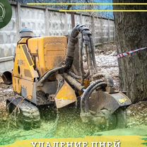 Расчистка участка, вырубка валка деревье, обрезка, Котельники