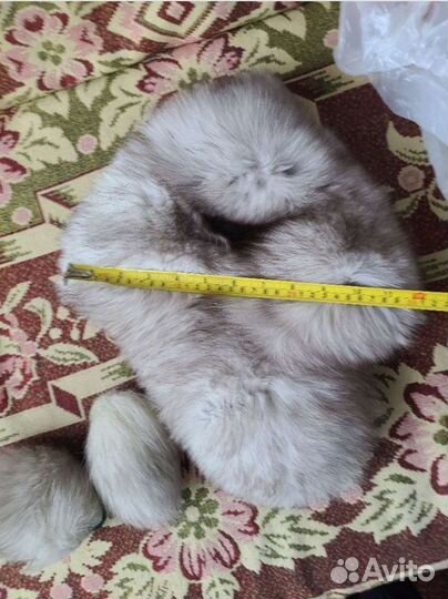 Шапка эскимоска