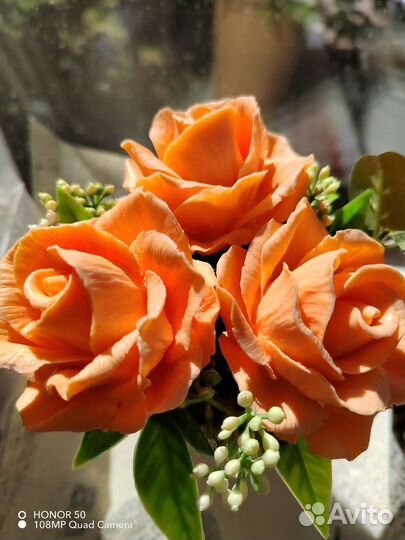 Астры, розы