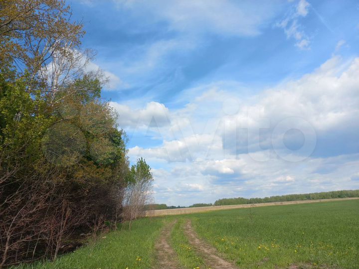 Участок 9 сот. (ИЖС)
