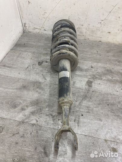 Амортизатор передний Volkswagen Passat