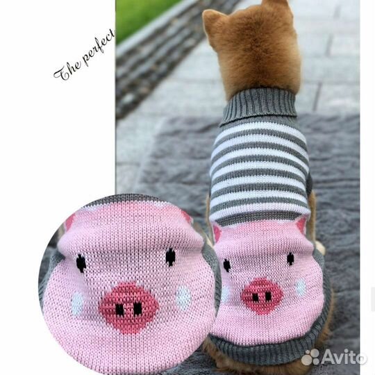 Свитер для собаки