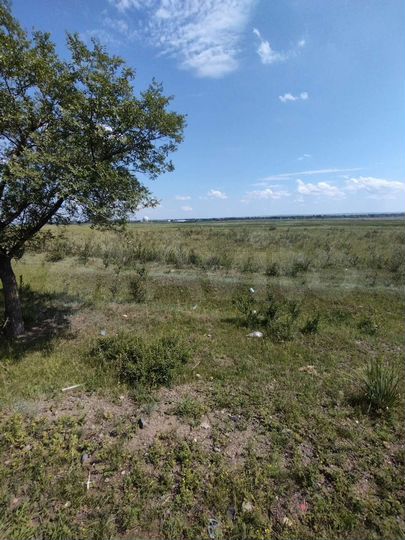 Участок 8,5 га (СНТ, ДНП)