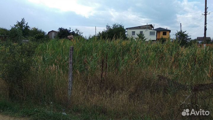 Покос травы