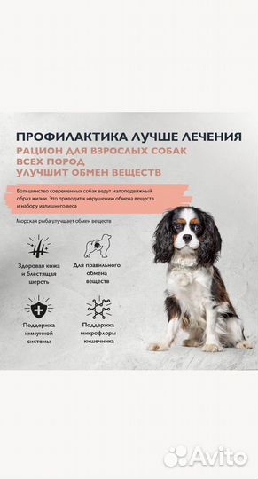 Корм Brit Care 3 кг Sensitive для собак