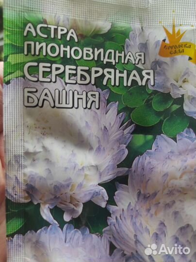 Рассада баклажан, перца, томатов