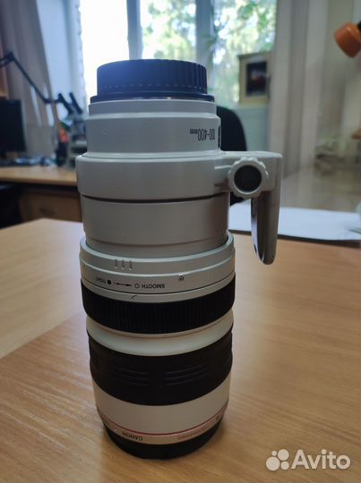 Canon EF 100-400mm f/4.5-5.6L IS USM