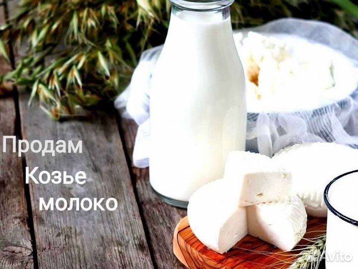 Козье молоко, творог