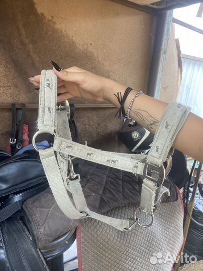 Недоуздок для пони и вальтрапы