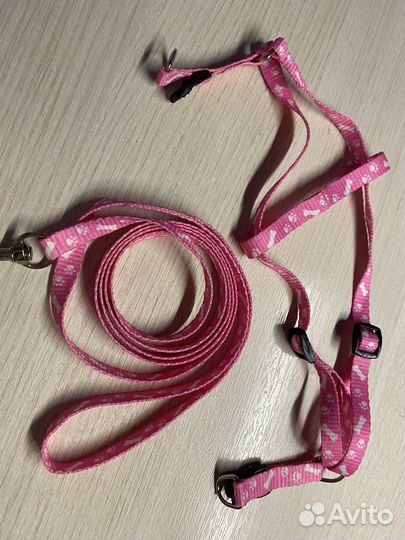Шлейка с поводком для кошек