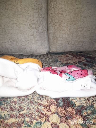 Одежда для собак мелких пород