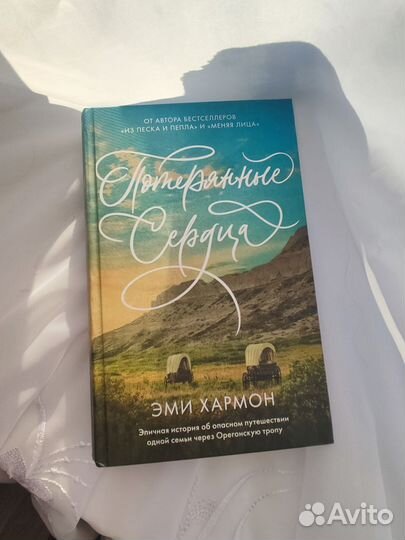 Книга Эми Хармон