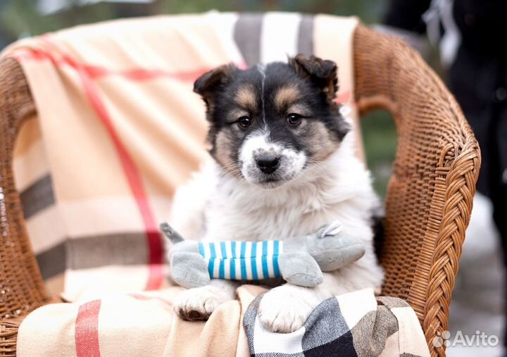 Девочка ждёт дом