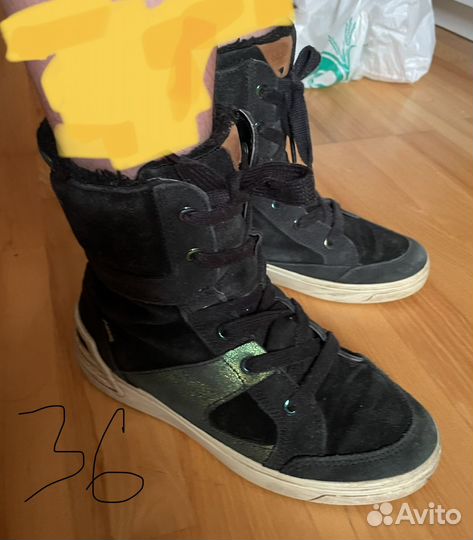 Сагоги ecco36р