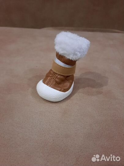 Обувь для маленьких собак