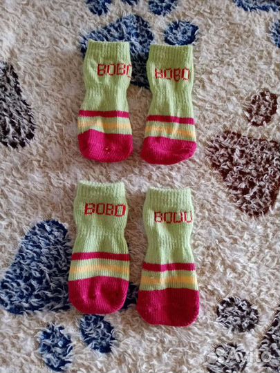 Бесплатно. Носочки для собак